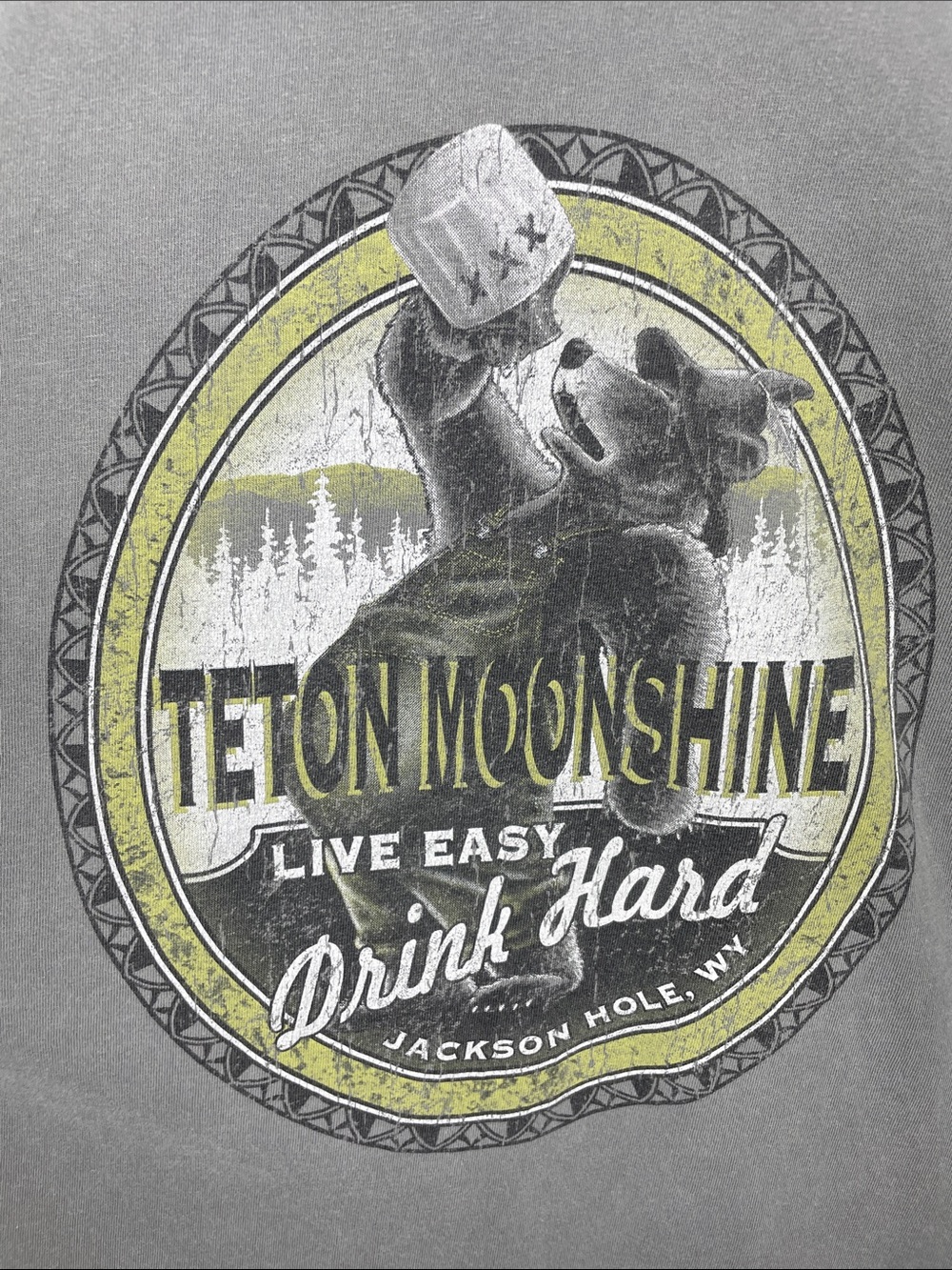 Men's Short-Sleeve Crew Neck T-Shirt in Charcoal with Teton moonshine